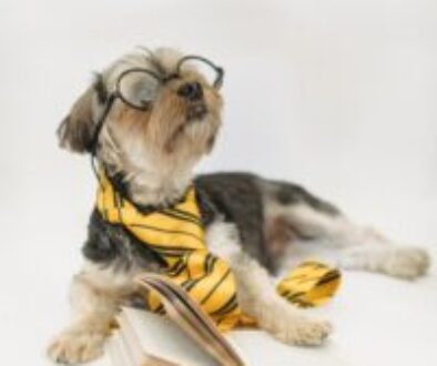 dog with glasses and tie on a book